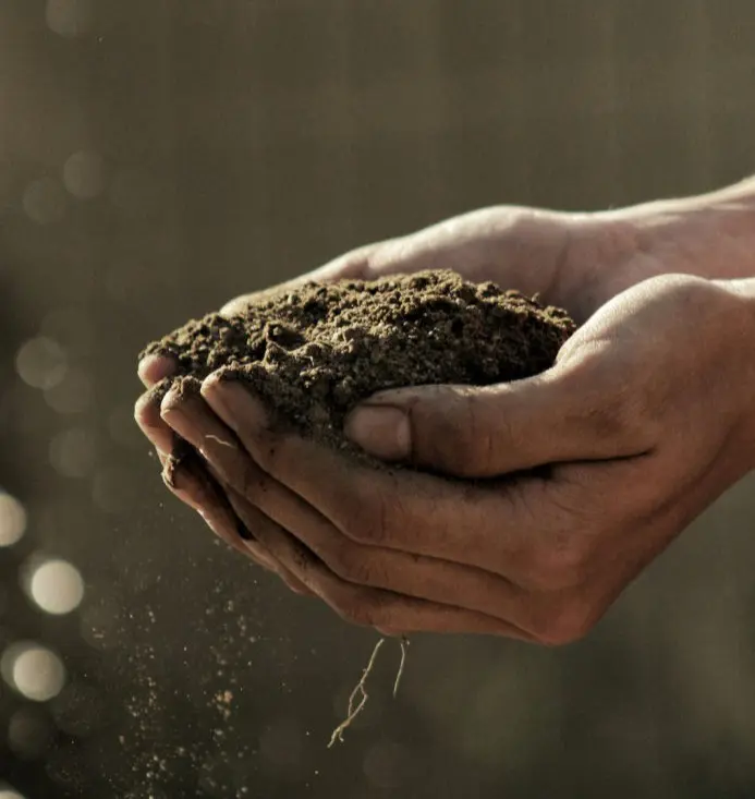 Geotechnical Soil Investigation