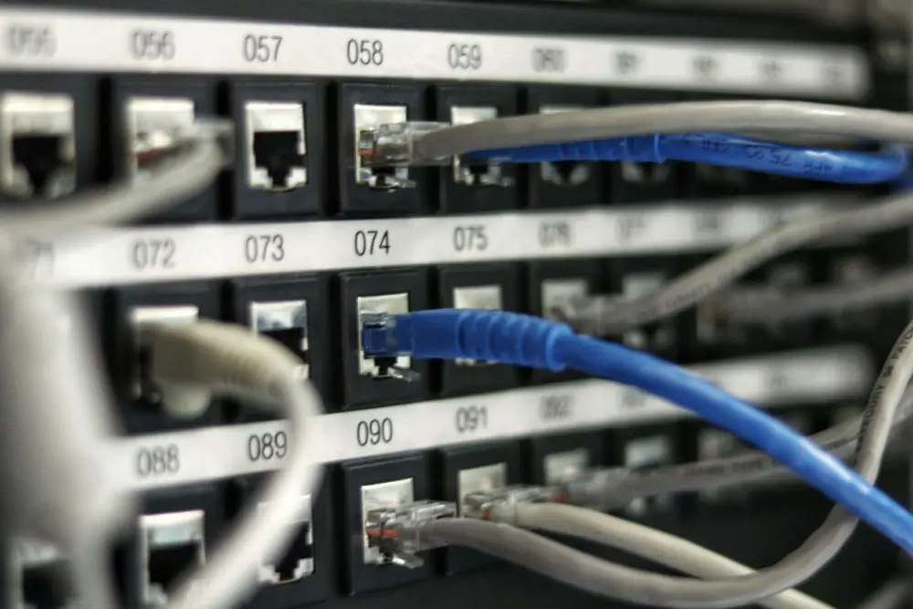 Network Expansion Services